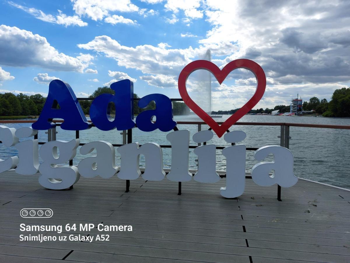 Apartment Daca Stan ベオグラード エクステリア 写真