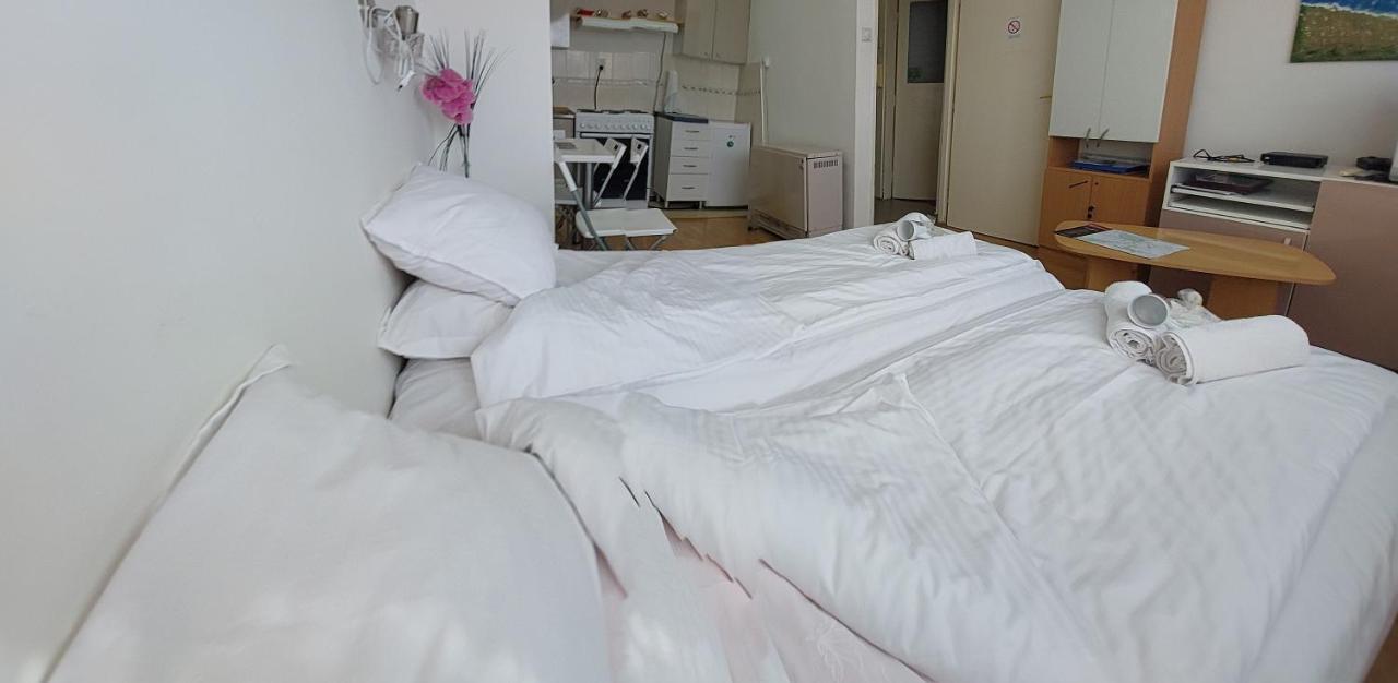 Apartment Daca Stan ベオグラード エクステリア 写真
