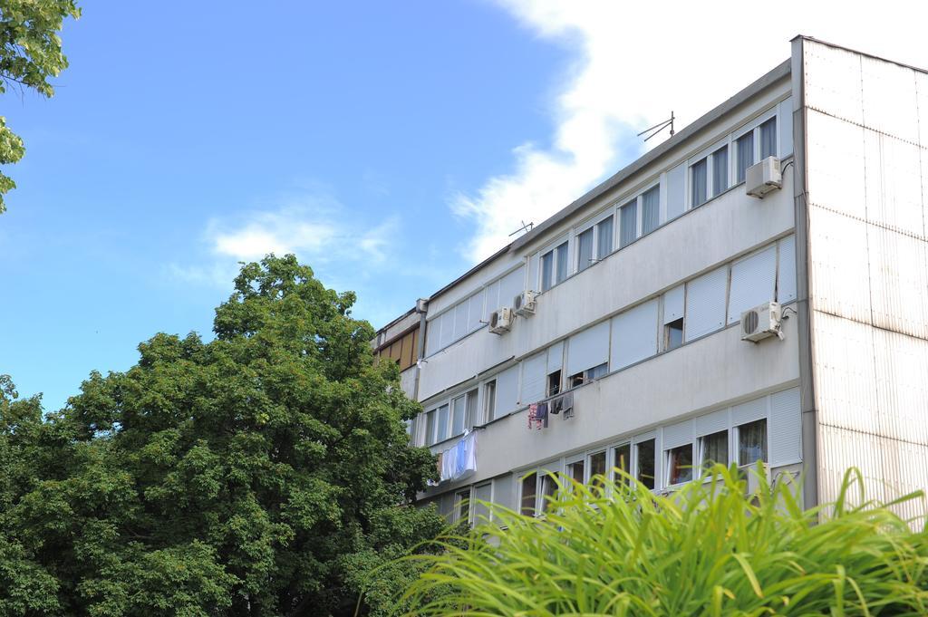 Apartment Daca Stan ベオグラード エクステリア 写真