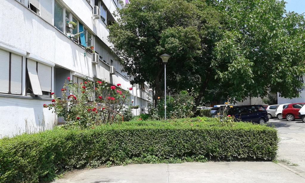 Apartment Daca Stan ベオグラード エクステリア 写真